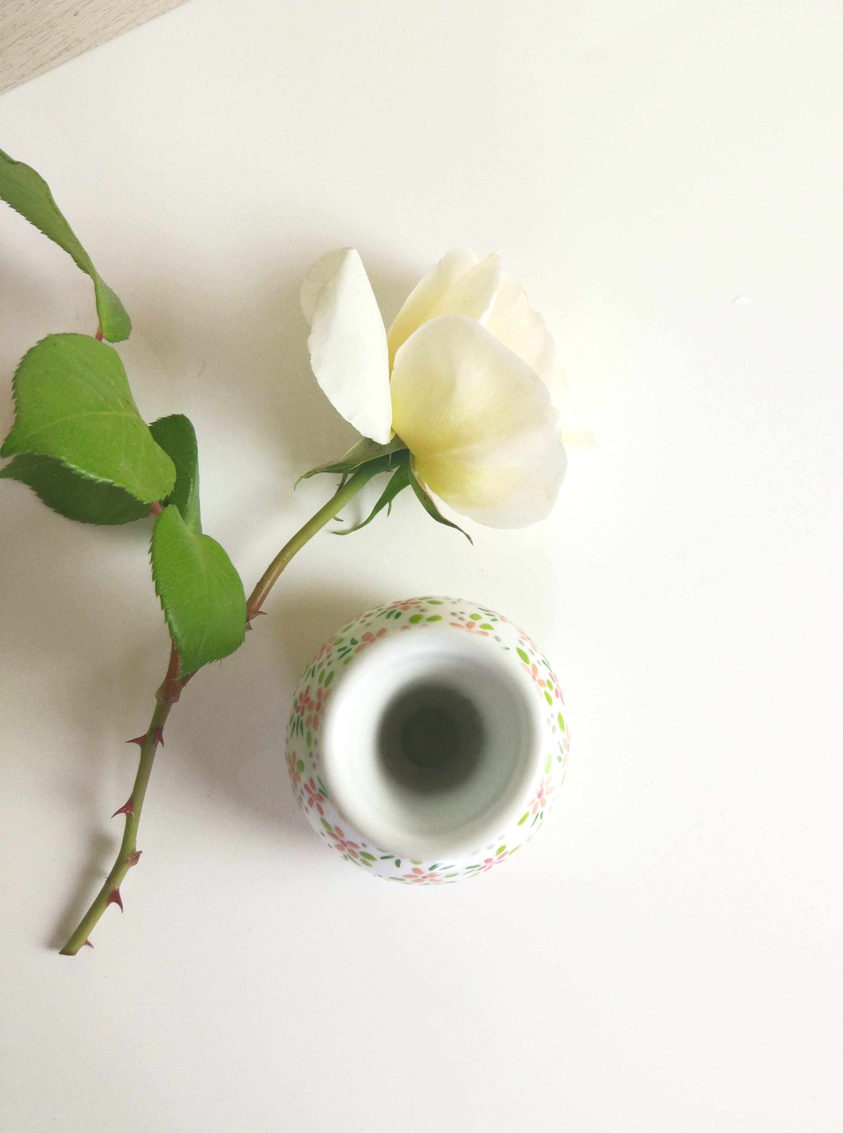 Hand Painted Single Flower Vase