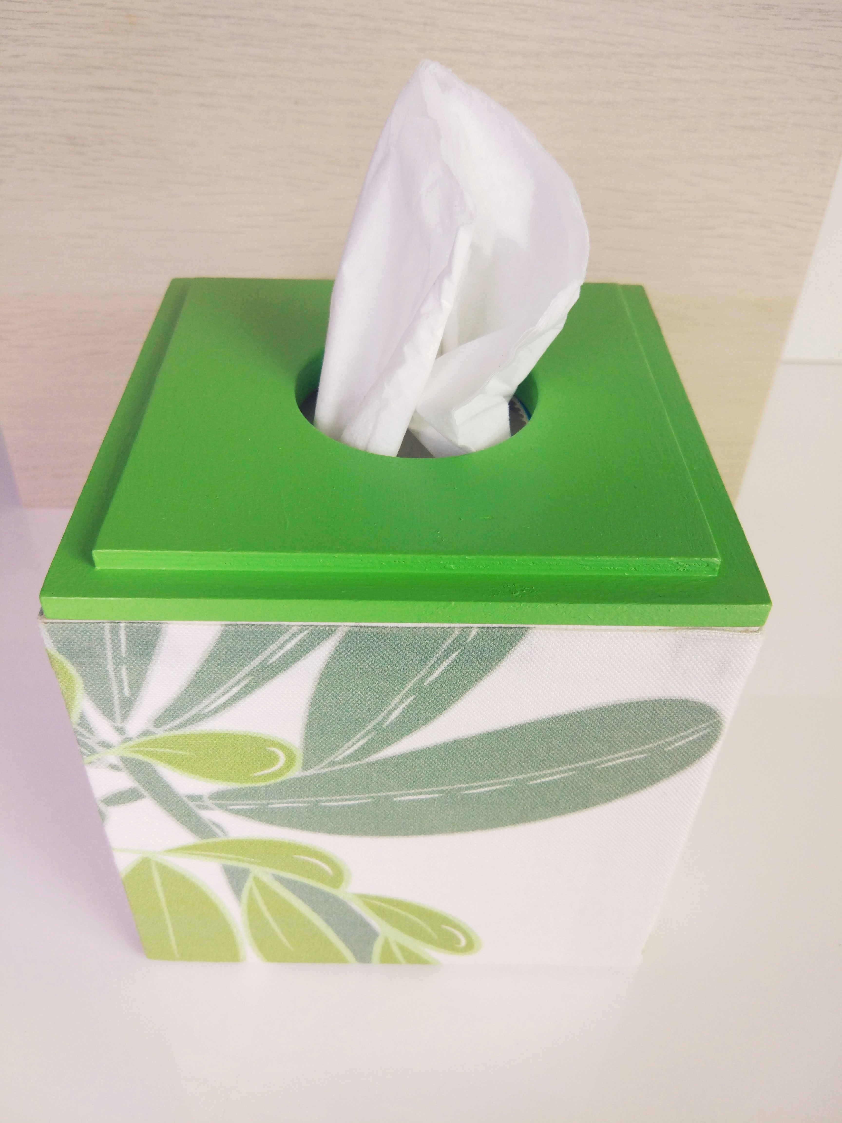 Tissue Box - Green and White